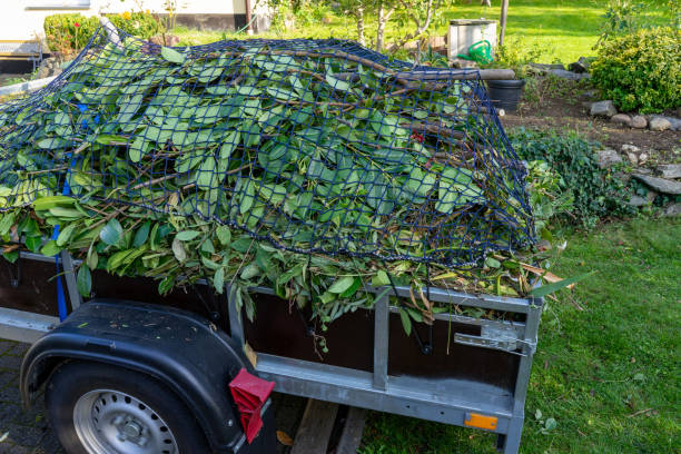 Best Carpet Removal and Disposal  in Orcutt, CA